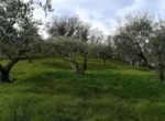 Matino -  Lotti di terreno edificabili in vendita