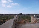 Terreno agricolo panoramico