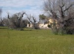 Casarano - Terreno agricolo