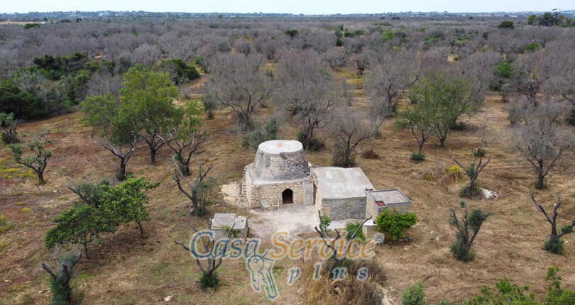 ampio Trullo immerso in 21.000 mq di terreno