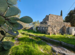 pajara salentina- trullo Gallipoli in vendita