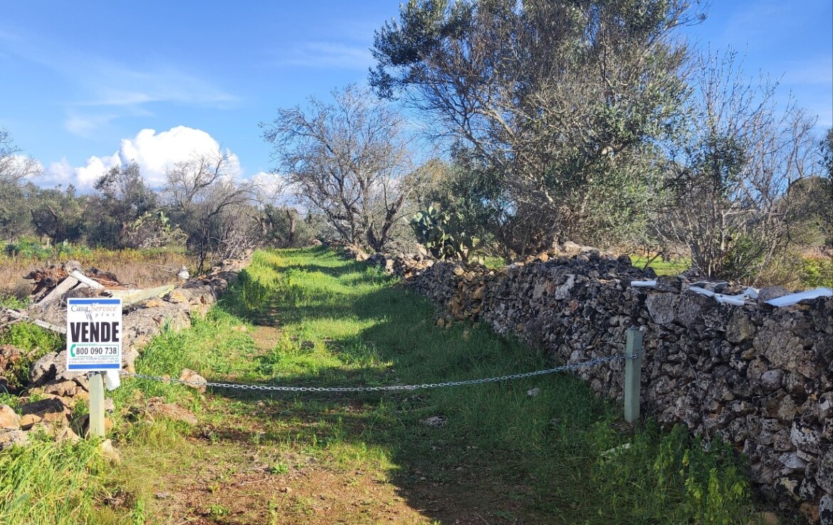 Antico trullo ben conservato in posizione strategica