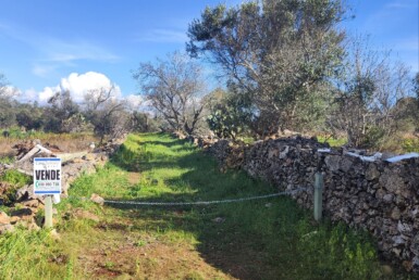 Antico trullo ben conservato in posizione strategica